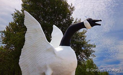 Wawa Goose_01598.jpg - Photographed near the north shore of Lake Superior in Wawa, Ontario, Canada.